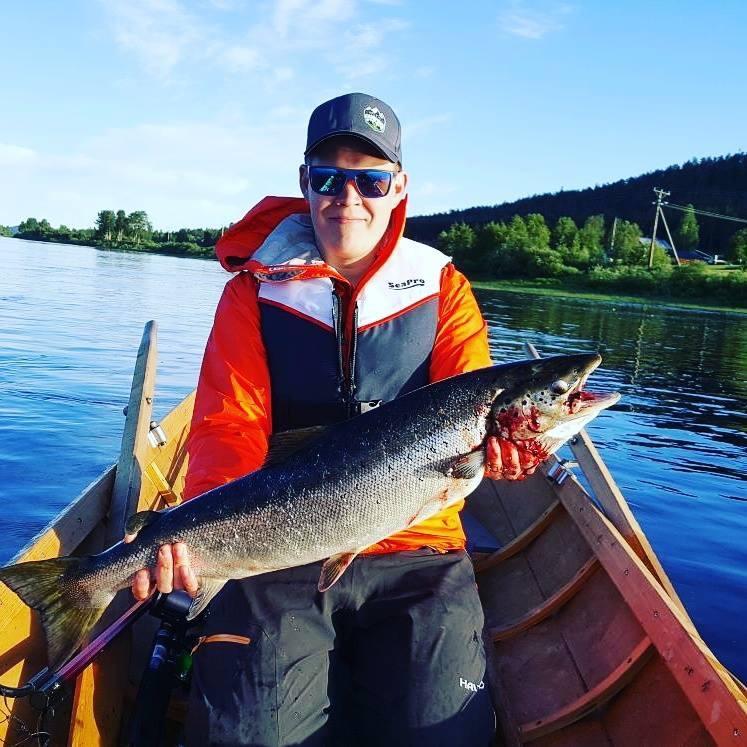 Arctic Camping Finland Hotel Pello Luaran gambar